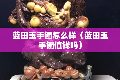 蓝田玉手镯怎么样（蓝田玉手镯值钱吗）