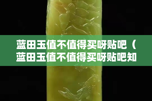 蓝田玉值不值得买呀贴吧（蓝田玉值不值得买呀贴吧知乎）