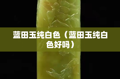 蓝田玉纯白色（蓝田玉纯白色好吗）