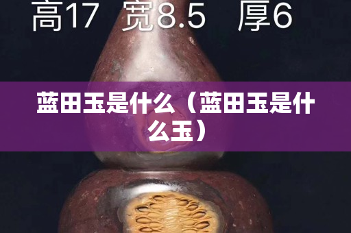 蓝田玉是什么（蓝田玉是什么玉）