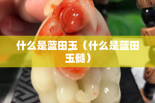 什么是蓝田玉（什么是蓝田玉髓）