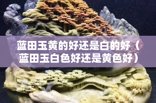 蓝田玉黄的好还是白的好（蓝田玉白色好还是黄色好）