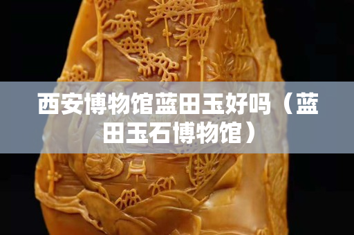 西安博物馆蓝田玉好吗（蓝田玉石博物馆）