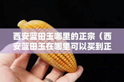 西安蓝田玉哪里的正宗（西安蓝田玉在哪里可以买到正宗）
