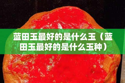 蓝田玉最好的是什么玉（蓝田玉最好的是什么玉种）
