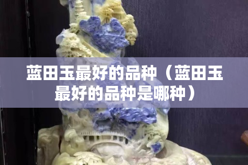 蓝田玉最好的品种（蓝田玉最好的品种是哪种）
