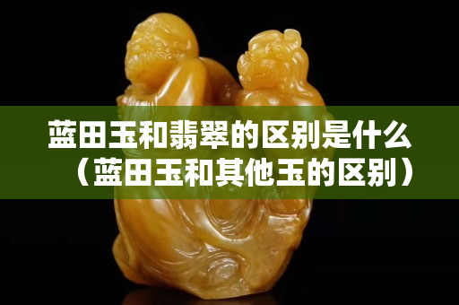 蓝田玉和翡翠的区别是什么（蓝田玉和其他玉的区别）