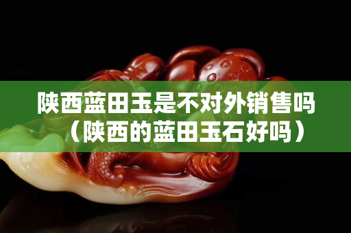 陕西蓝田玉是不对外销售吗（陕西的蓝田玉石好吗）