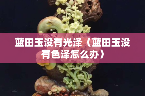 蓝田玉没有光泽（蓝田玉没有色泽怎么办）