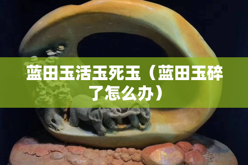 蓝田玉活玉死玉（蓝田玉碎了怎么办）