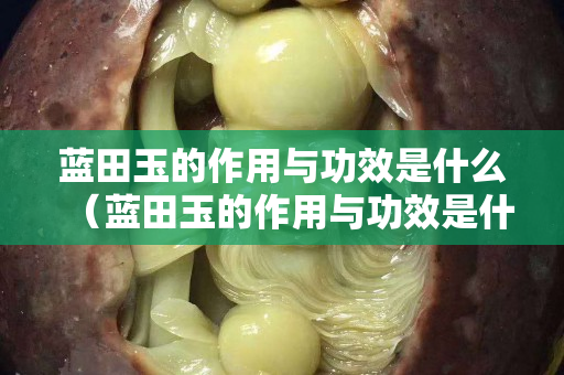 蓝田玉的作用与功效是什么（蓝田玉的作用与功效是什么意思）