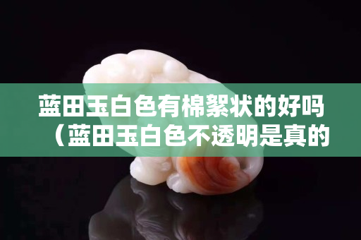 蓝田玉白色有棉絮状的好吗（蓝田玉白色不透明是真的吗）
