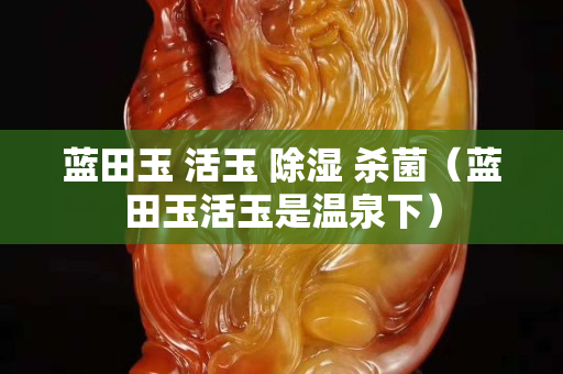 蓝田玉 活玉 除湿 杀菌（蓝田玉活玉是温泉下）