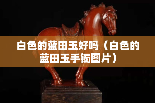 白色的蓝田玉好吗（白色的蓝田玉手镯图片）