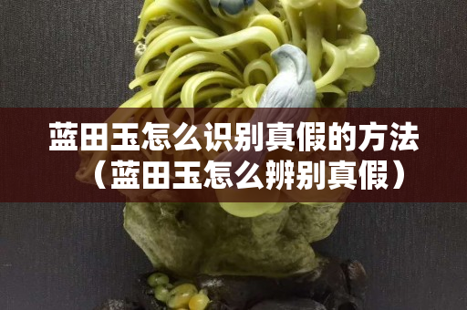 蓝田玉怎么识别真假的方法（蓝田玉怎么辨别真假）