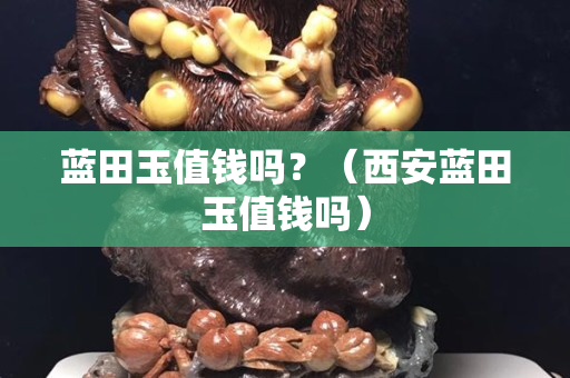 蓝田玉值钱吗？（西安蓝田玉值钱吗）
