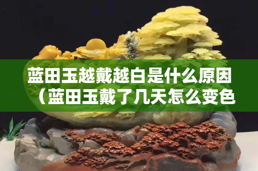 蓝田玉越戴越白是什么原因（蓝田玉戴了几天怎么变色了？）