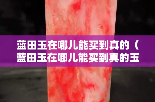 蓝田玉在哪儿能买到真的（蓝田玉在哪儿能买到真的玉石）