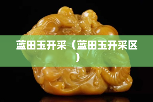 蓝田玉开采（蓝田玉开采区）