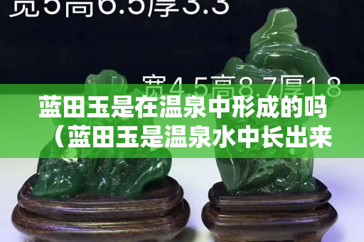 蓝田玉是在温泉中形成的吗（蓝田玉是温泉水中长出来的）