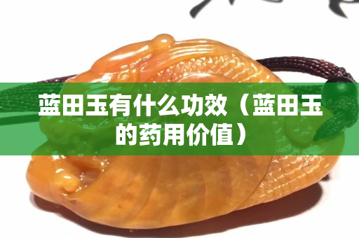 蓝田玉有什么功效（蓝田玉的药用价值）