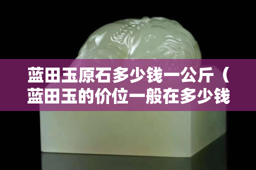 蓝田玉原石多少钱一公斤（蓝田玉的价位一般在多少钱一吨）