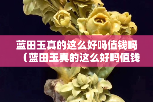蓝田玉真的这么好吗值钱吗（蓝田玉真的这么好吗值钱吗视频）