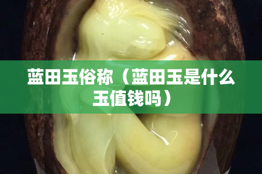 蓝田玉俗称（蓝田玉是什么玉值钱吗）