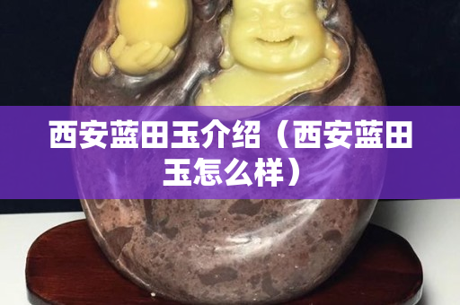 西安蓝田玉介绍（西安蓝田玉怎么样）