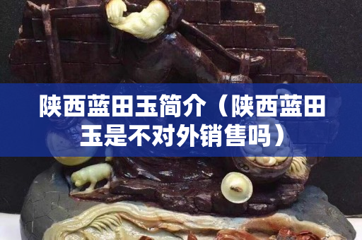 陕西蓝田玉简介（陕西蓝田玉是不对外销售吗）