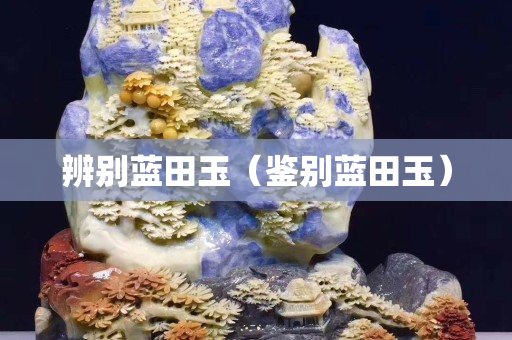 辨别蓝田玉（鉴别蓝田玉）