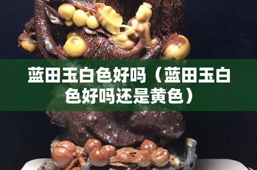 蓝田玉白色好吗（蓝田玉白色好吗还是黄色）