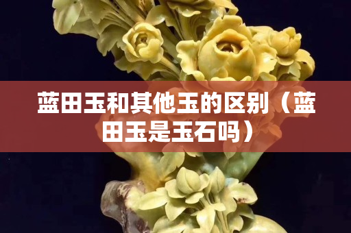 蓝田玉和其他玉的区别（蓝田玉是玉石吗）