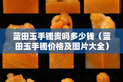 蓝田玉手镯贵吗多少钱（蓝田玉手镯价格及图片大全）