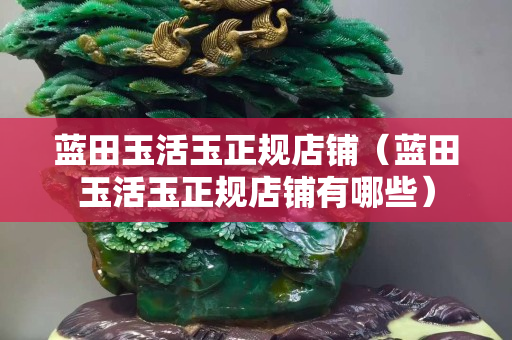 蓝田玉活玉正规店铺（蓝田玉活玉正规店铺有哪些）