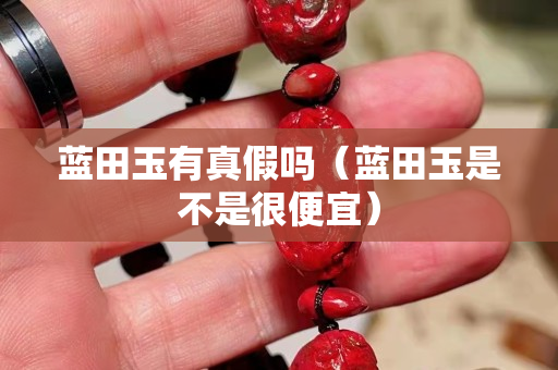 蓝田玉有真假吗（蓝田玉是不是很便宜）