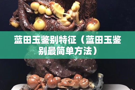 蓝田玉鉴别特征（蓝田玉鉴别最简单方法）