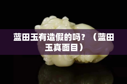 蓝田玉有造假的吗？（蓝田玉真面目）
