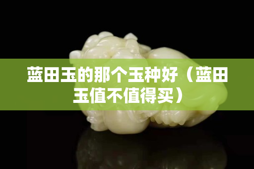 蓝田玉的那个玉种好（蓝田玉值不值得买）