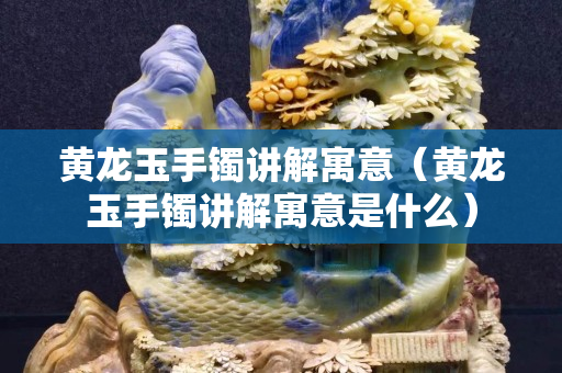 黄龙玉手镯讲解寓意（黄龙玉手镯讲解寓意是什么）