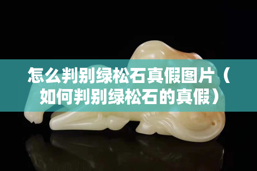怎么判别绿松石真假图片（如何判别绿松石的真假）