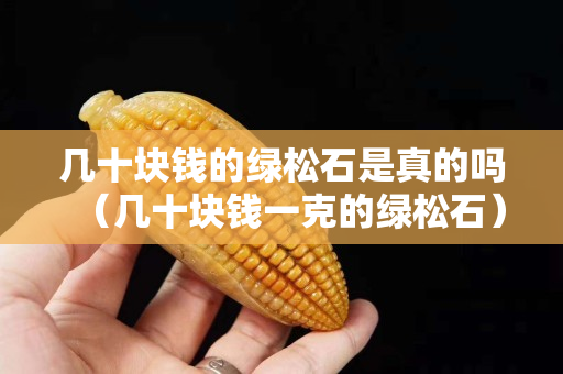 几十块钱的绿松石是真的吗（几十块钱一克的绿松石）
