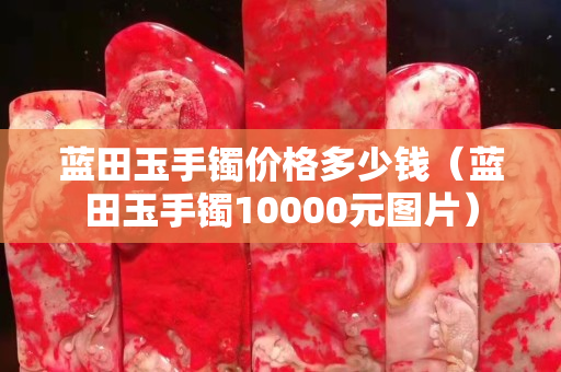 蓝田玉手镯价格多少钱（蓝田玉手镯10000元图片）