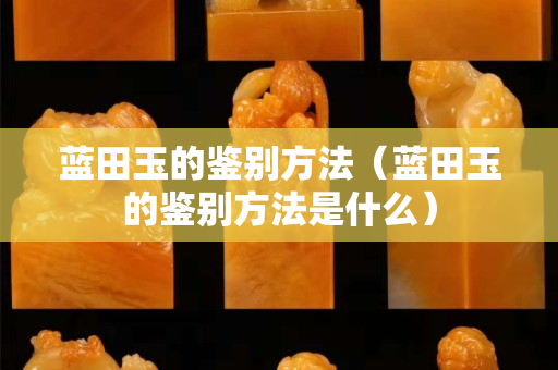 蓝田玉的鉴别方法（蓝田玉的鉴别方法是什么）