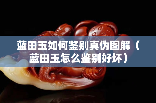 蓝田玉如何鉴别真伪图解（蓝田玉怎么鉴别好坏）