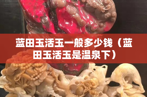 蓝田玉活玉一般多少钱（蓝田玉活玉是温泉下）