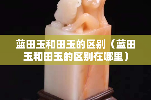 蓝田玉和田玉的区别（蓝田玉和田玉的区别在哪里）