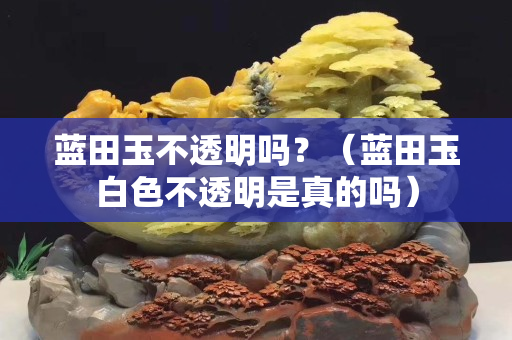 蓝田玉不透明吗？（蓝田玉白色不透明是真的吗）