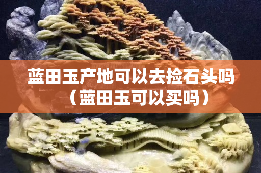 蓝田玉产地可以去捡石头吗（蓝田玉可以买吗）
