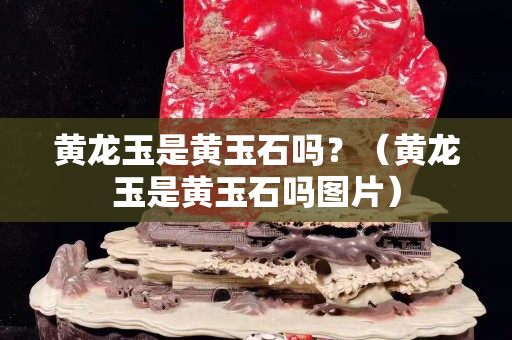 黄龙玉是黄玉石吗？（黄龙玉是黄玉石吗图片）